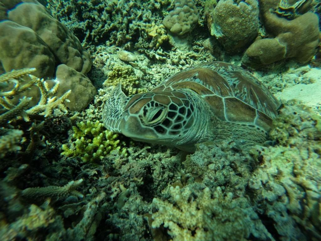 Gili Kulemba Bungalow กีลีตราวางัน ภายนอก รูปภาพ
