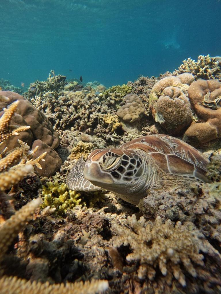 Gili Kulemba Bungalow กีลีตราวางัน ภายนอก รูปภาพ