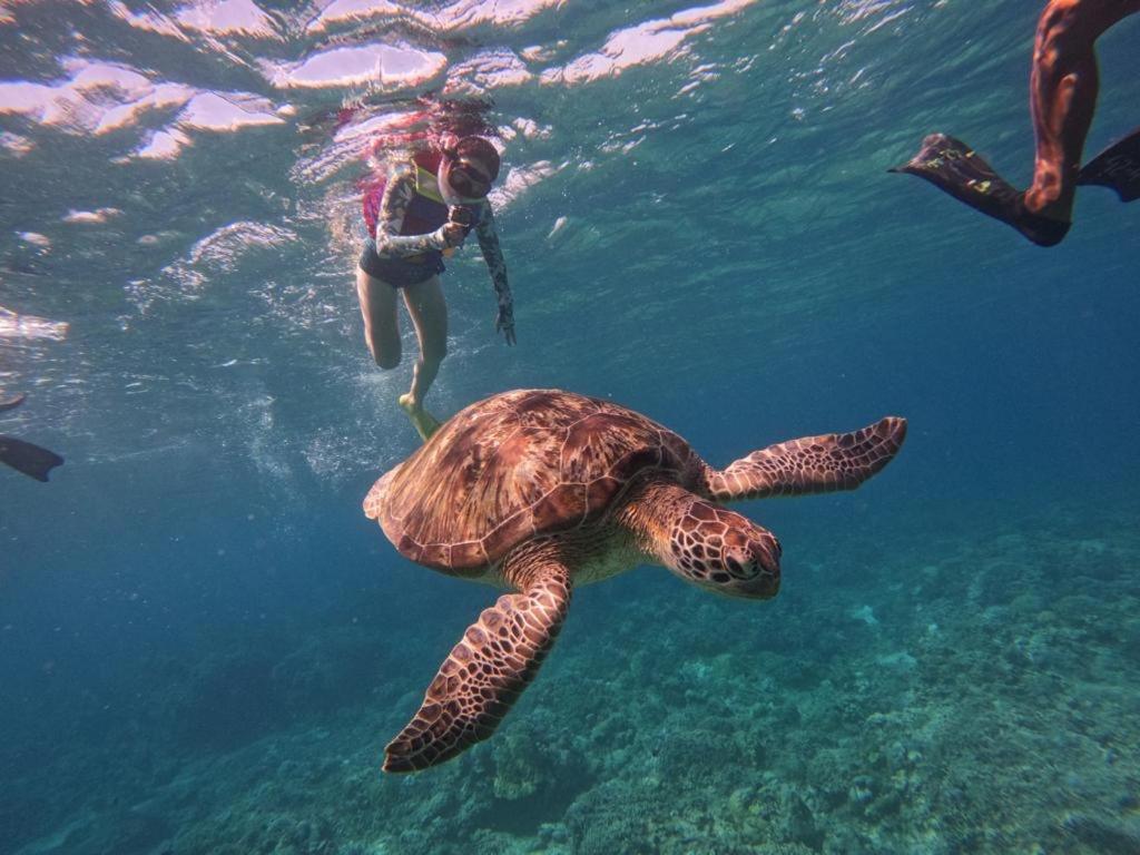 Gili Kulemba Bungalow กีลีตราวางัน ภายนอก รูปภาพ