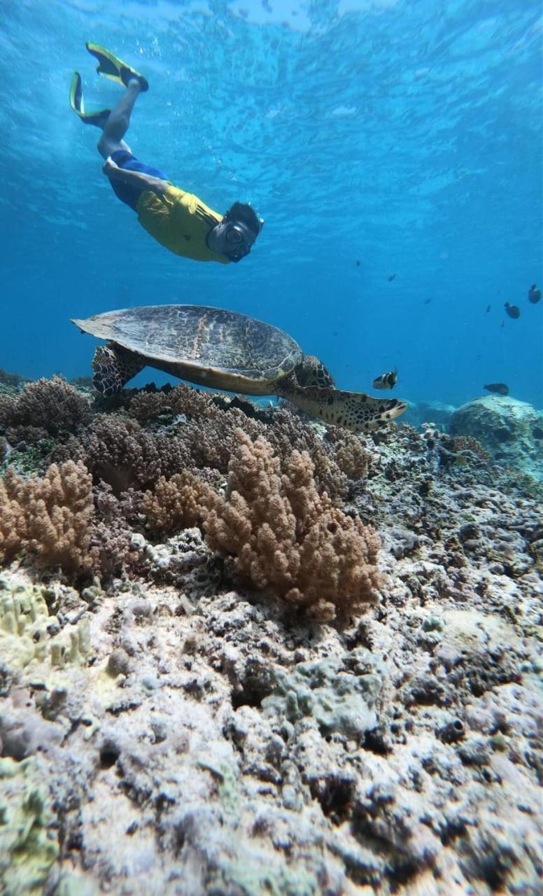 Gili Kulemba Bungalow กีลีตราวางัน ภายนอก รูปภาพ