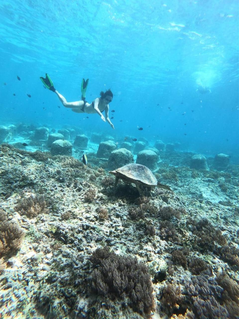 Gili Kulemba Bungalow กีลีตราวางัน ภายนอก รูปภาพ